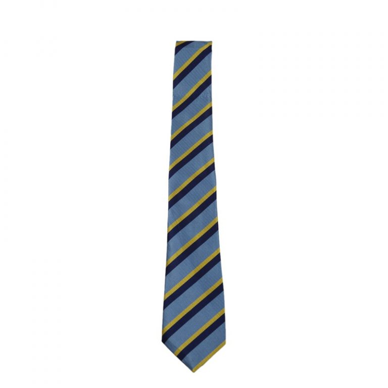 SHASHI VIEW PRIMARY SCHOOL TIE | Enbee Stores